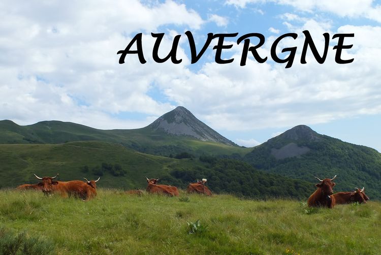 Produktbild: Bildband Auvergne
