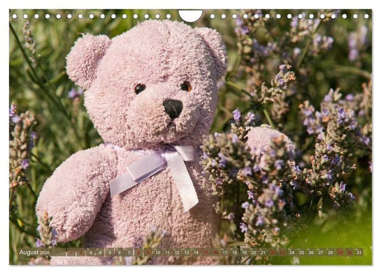 Produktbild: Kunterbunte B&auml;renwelt - Teddys (Wandkalender 2026 DIN A4 quer), CALVENDO Monatskalender