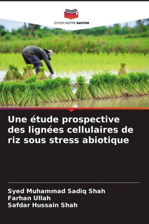 Produktbild: Une &eacute;tude prospective des lign&eacute;es cellulaires de riz sous stress abiotique