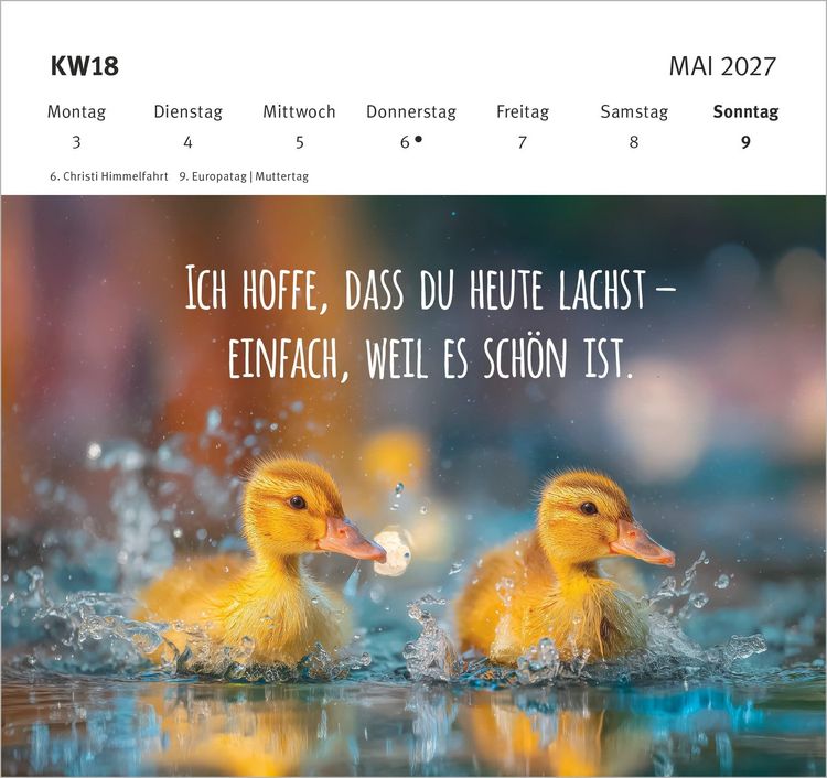 Produktbild: W&uuml;nsche, die dich begleiten - Tag f&uuml;r Tag 2027