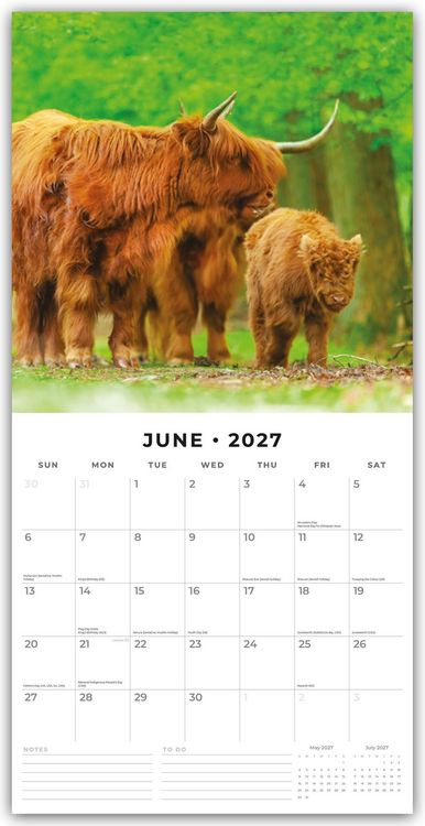 Produktbild: Highland Cows &ndash; Hochland K&uuml;he 2027 &ndash; 16-Monatskalender