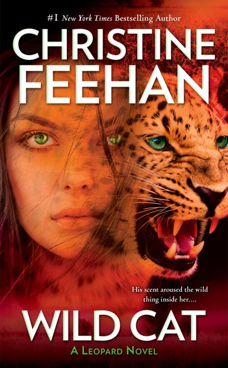 Produktbild: Wild Cat