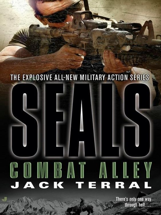 Produktbild: Seals: Combat Alley