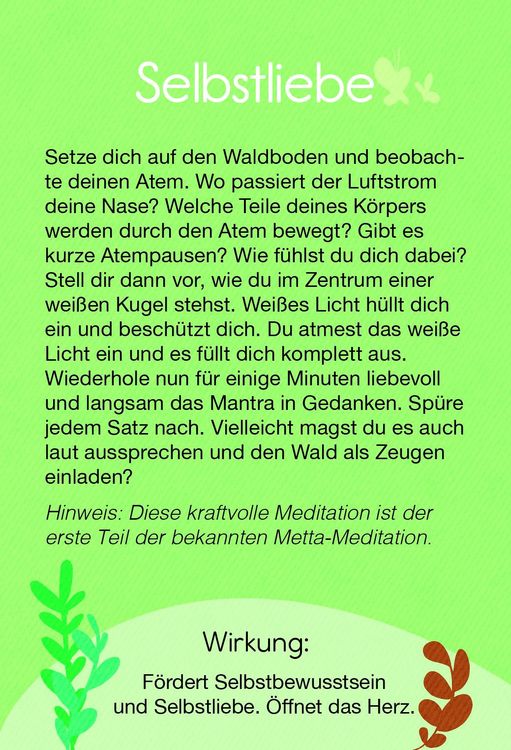 Produktbild: Waldbaden mit Yoga &ndash; Kartenset
