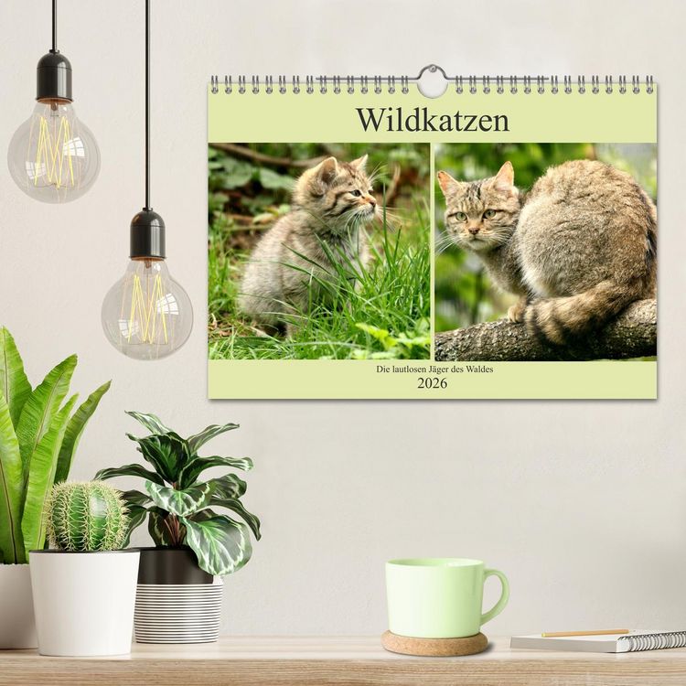 Produktbild: Wildkatzen - Die lautlosen J&auml;ger des Waldes (Wandkalender 2026 DIN A4 quer), CALVENDO Monatskalender