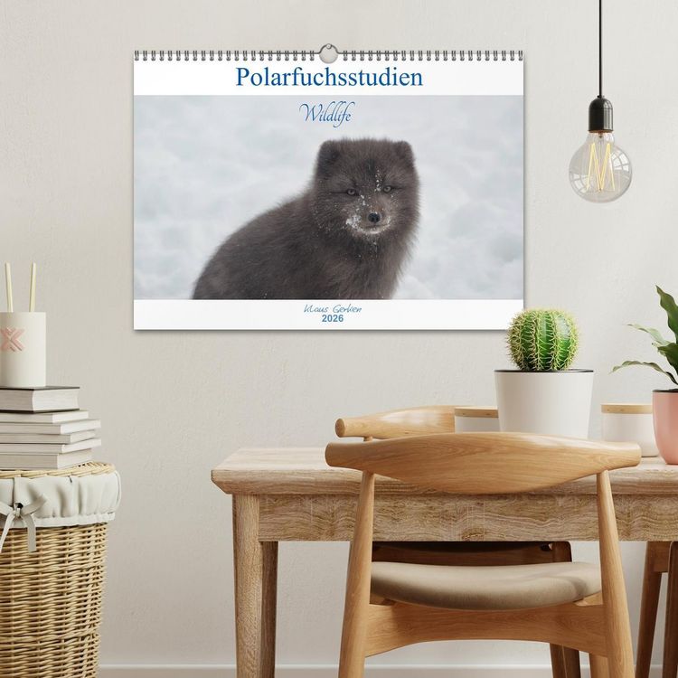 Produktbild: Polarfuchsstudien Wildlife (Wandkalender 2026 DIN A3 quer), CALVENDO Monatskalender