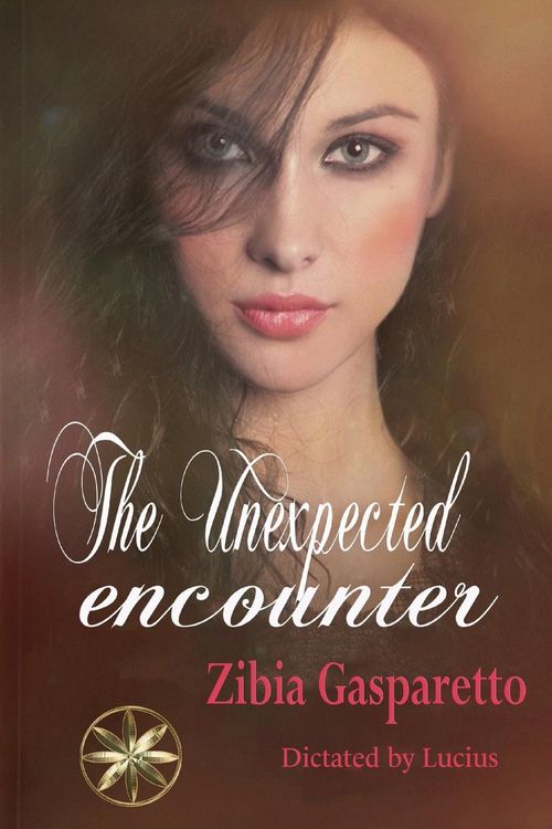 Produktbild: The unexpected encounter