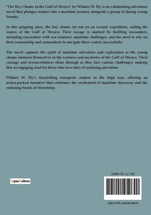 Produktbild: The Boy Chums in the Gulf of Mexico