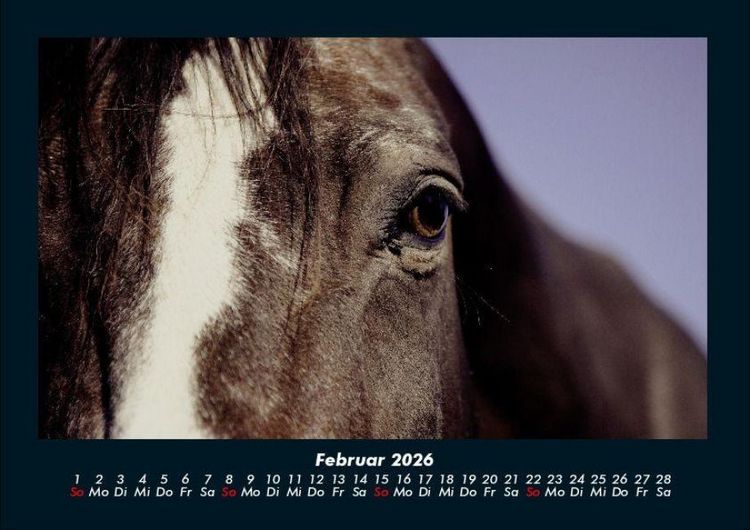 Produktbild: Pferdegefl&uuml;ster 2026 Fotokalender DIN A4