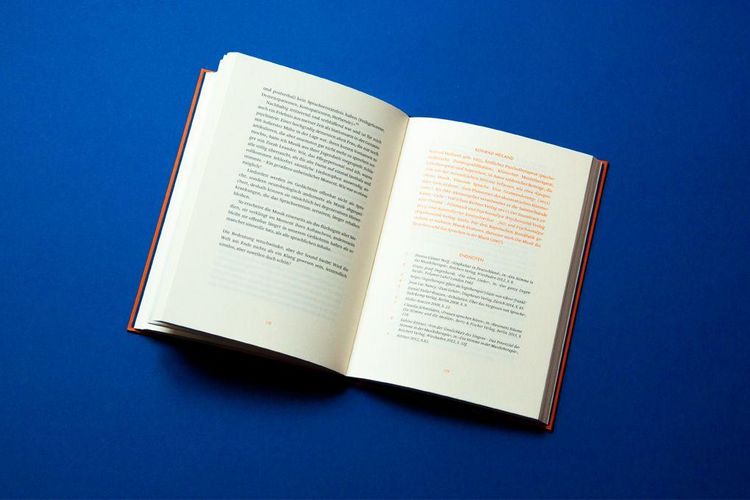 Produktbild: Die Philosophie des Singens