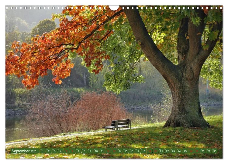 Produktbild: Sch&ouml;ne Aussichten B&auml;nke zum Verweilen (Wandkalender 2026 DIN A3 quer), CALVENDO Monatskalender