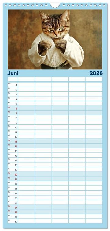 Produktbild: Familienplaner 2026 - Lustige Sportarten f&uuml;r Katzen mit 5 Spalten (Wandkalender, 21 x 45 cm) CALVENDO