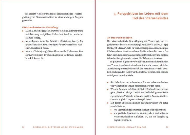 Produktbild: Sternenkind: Trauer verstehen und begleiten