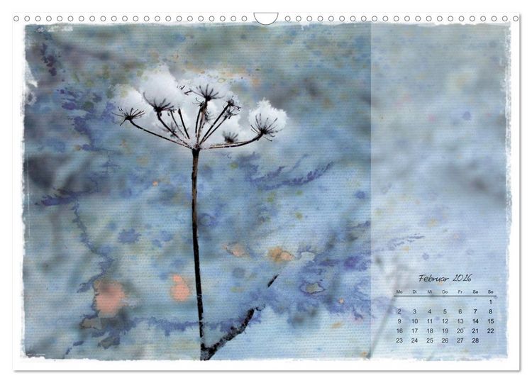 Produktbild: Bl&uuml;te trifft auf Aquarell (Wandkalender 2026 DIN A3 quer), CALVENDO Monatskalender