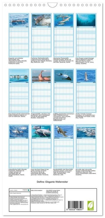 Produktbild: Familienplaner 2026 - Delfine: Elegante Wellenreiter mit 5 Spalten (Wandkalender, 21 x 45 cm) CALVENDO