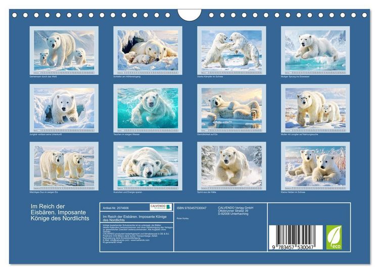 Produktbild: Im Reich der Eisb&auml;ren. Imposante K&ouml;nige des Nordlichts (Wandkalender 2026 DIN A4 quer), CALVENDO Monatskalender
