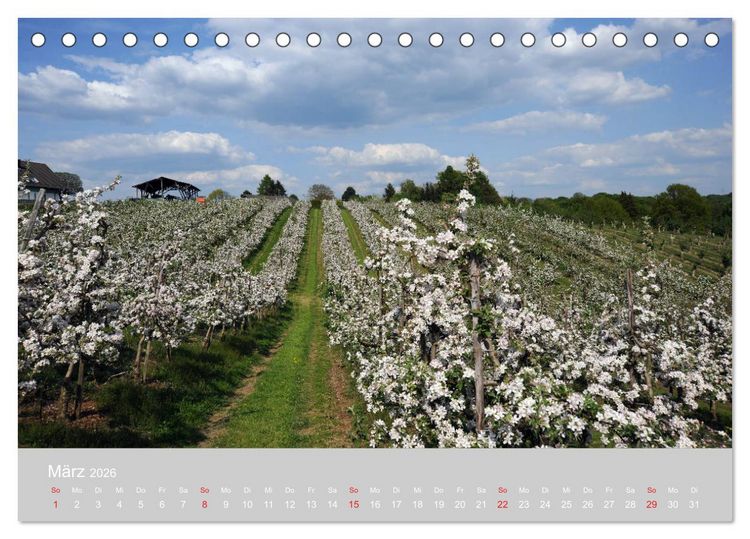 Produktbild: Das Bergische Land - wundersch&ouml;n (Tischkalender 2026 DIN A5 quer), CALVENDO Monatskalender