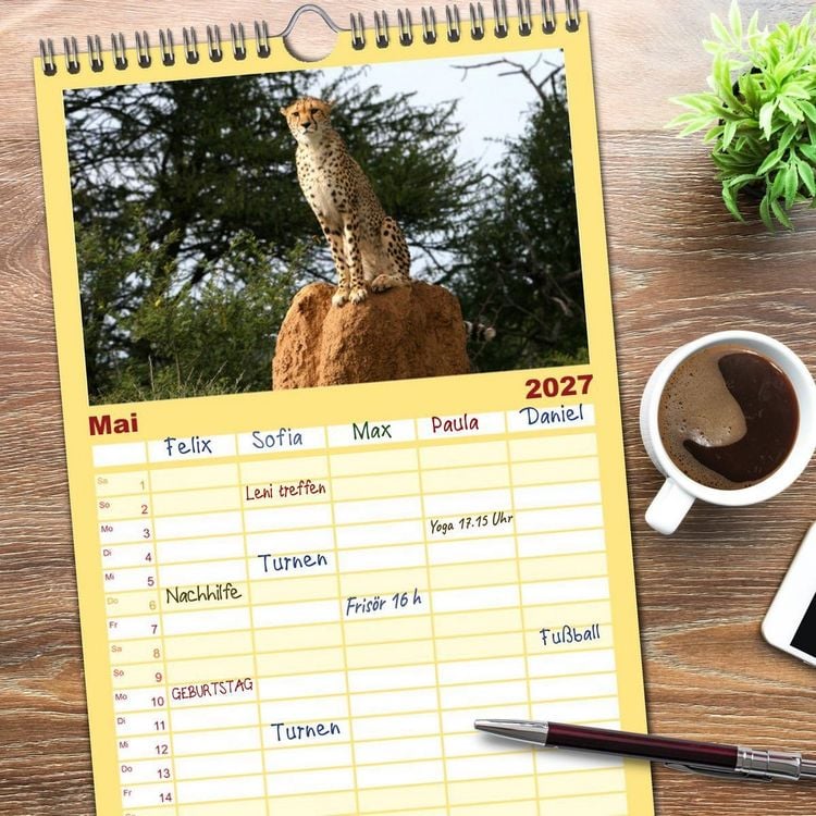 Produktbild: Familienplaner 2027 - Geparden - Begegnungen in Afrika mit 5 Spalten (Wandkalender, 21 x 45 cm) CALVENDO