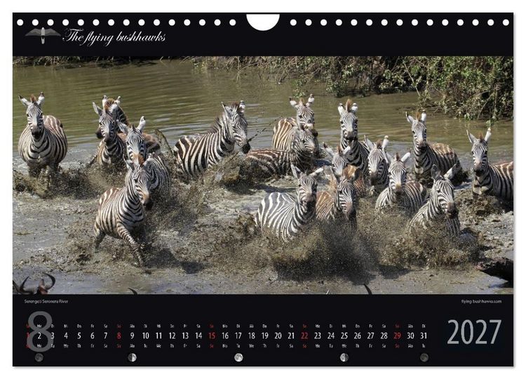 Produktbild: Tansania Blickwinkel 2027 (Wandkalender 2027 DIN A4 quer), CALVENDO Monatskalender