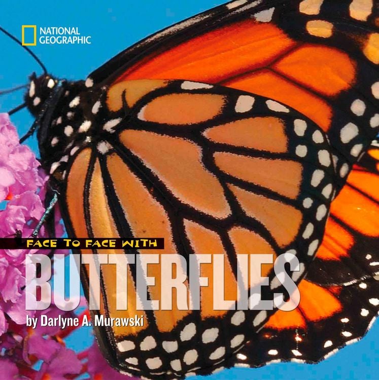 Produktbild: Face To Face W/butterflies