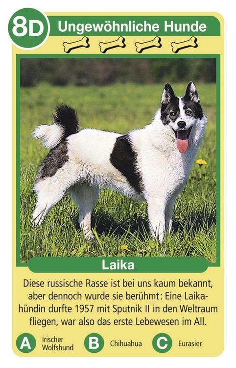 Produktbild: Tierquartett Hunde - Kartenspiel ab 4 Jahre
