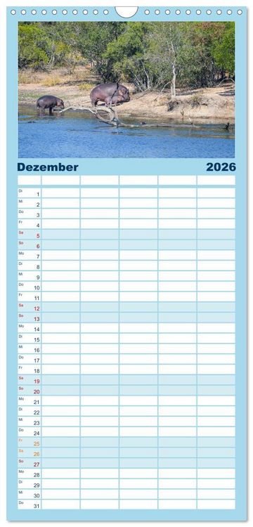 Produktbild: Familienplaner 2026 - Nilpferde, Kolosse in Afrika mit 5 Spalten (Wandkalender, 21 x 45 cm) CALVENDO