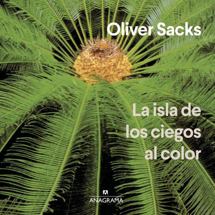 Produktbild: La isla de los ciegos al color