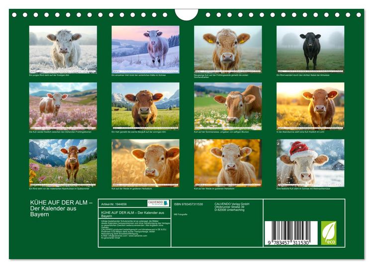 Produktbild: K&Uuml;HE AUF DER ALM &ndash; Der Kalender aus Bayern (Wandkalender 2026 DIN A4 quer), CALVENDO Monatskalender