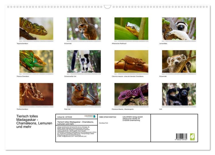 Produktbild: Tierisch tolles Madagaskar - Cham&auml;leons, Lemuren und mehr (Wandkalender 2026 DIN A2 quer), CALVENDO Monatskalender