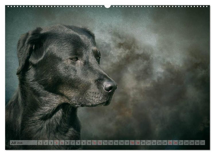 Produktbild: Jagdhunde im Portrait (hochwertiger Premium Wandkalender 2026 DIN A2 quer), Kunstdruck in Hochglanz