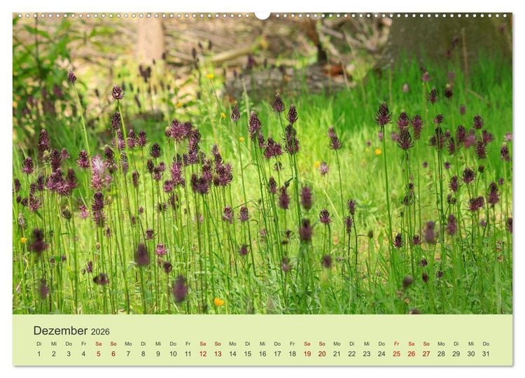 Produktbild: Wilde Blumen - ein Spaziergang durch die Natur (Wandkalender 2026 DIN A2 quer), CALVENDO Monatskalender