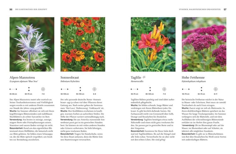 Produktbild: Robuste Sch&ouml;nheiten f&uuml;r den Garten