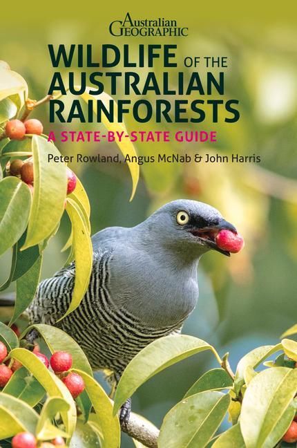 Produktbild: Wildlife of the Australian Rainforests