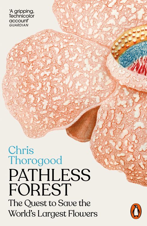 Produktbild: Pathless Forest
