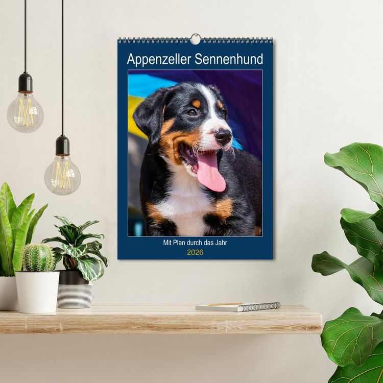 Produktbild: Appenzeller Sennenhund - Mit Plan durch das Jahr (Wandkalender 2026 DIN A3 hoch), CALVENDO Monatskalender
