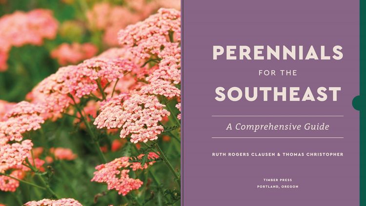Produktbild: Perennials for the Southeast