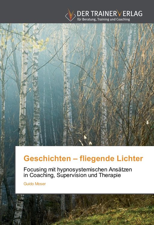 Produktbild: Geschichten - fliegende Lichter