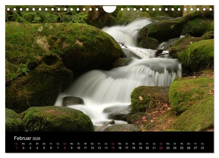 Produktbild: Zauberhafter Bayerischer Wald (Wandkalender 2026 DIN A4 quer), CALVENDO Monatskalender