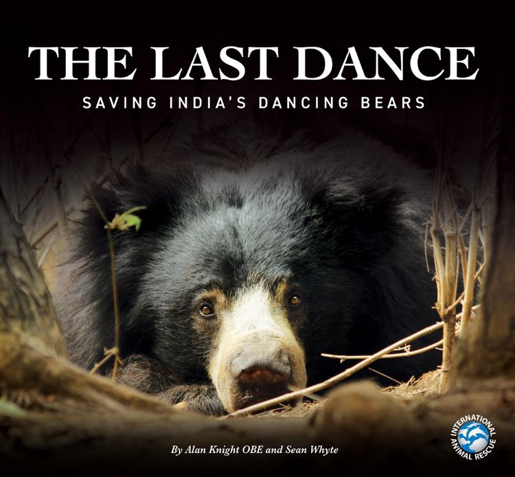 Produktbild: The Last Dance