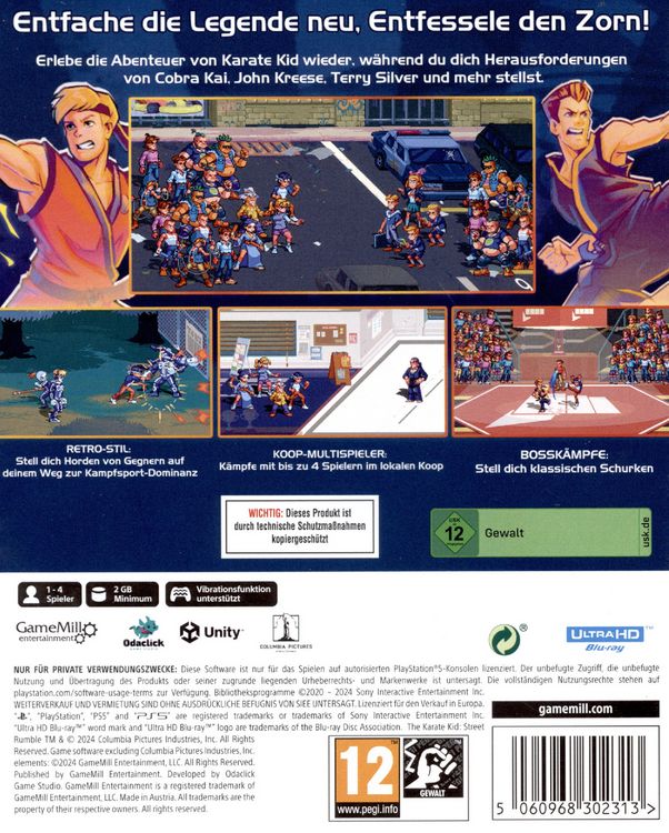 Produktbild: The Karate Kid - Street Rumble