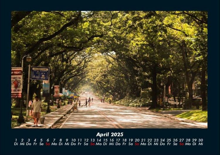 Produktbild: B&auml;ume 2025 Fotokalender DIN A4