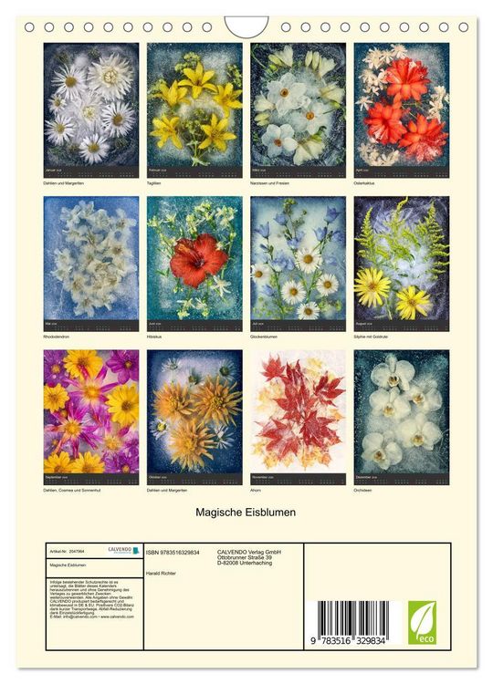 Produktbild: Magische Eisblumen (Wandkalender 2026 DIN A4 hoch), CALVENDO Monatskalender