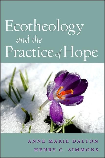 Produktbild: Ecotheology and the Practice of Hope