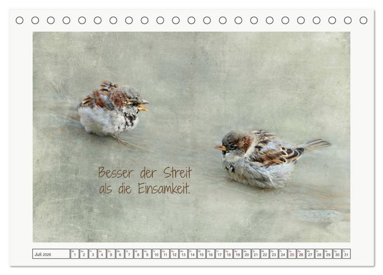Produktbild: Irische Segensw&uuml;nsche (Tischkalender 2026 DIN A5 quer), CALVENDO Monatskalender