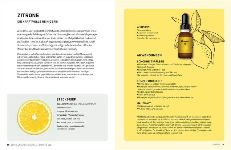 Produktbild: 6 &Auml;therische &Ouml;le f&uuml;r Einsteiger. &Uuml;ber 300 Anwendungsm&ouml;glichkeiten mit den sechs wichtigsten &Ouml;len