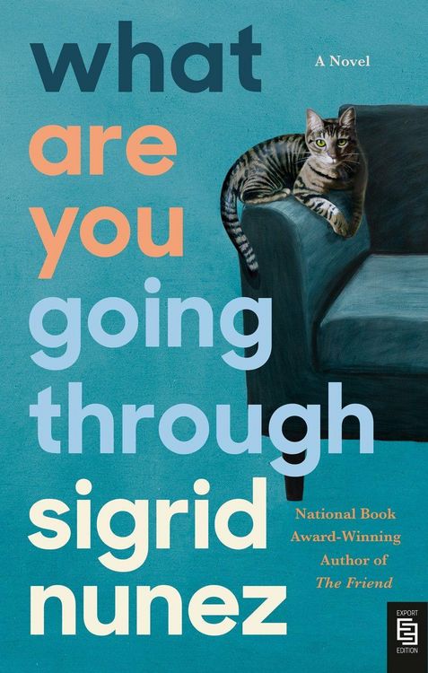 Produktbild: Nunez, S: What Are You Going Through