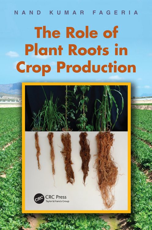 Produktbild: The Role of Plant Roots in Crop Production