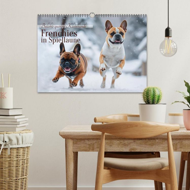 Produktbild: Frenchies in Spiellaune (Wandkalender 2026 DIN A3 quer), CALVENDO Monatskalender