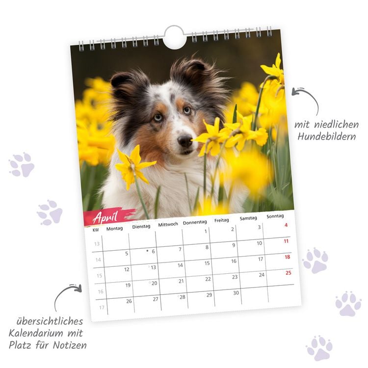Produktbild: TR&Ouml;TSCH - Notizkalender zum H&auml;ngen Hunde 2027