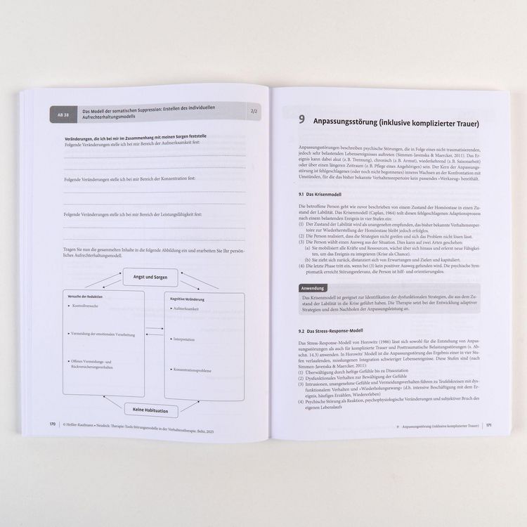 Produktbild: Therapie-Tools St&ouml;rungsmodelle in der Verhaltenstherapie